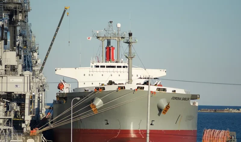 CORONA EMBLEM Bulk Carrier IMO 9152167