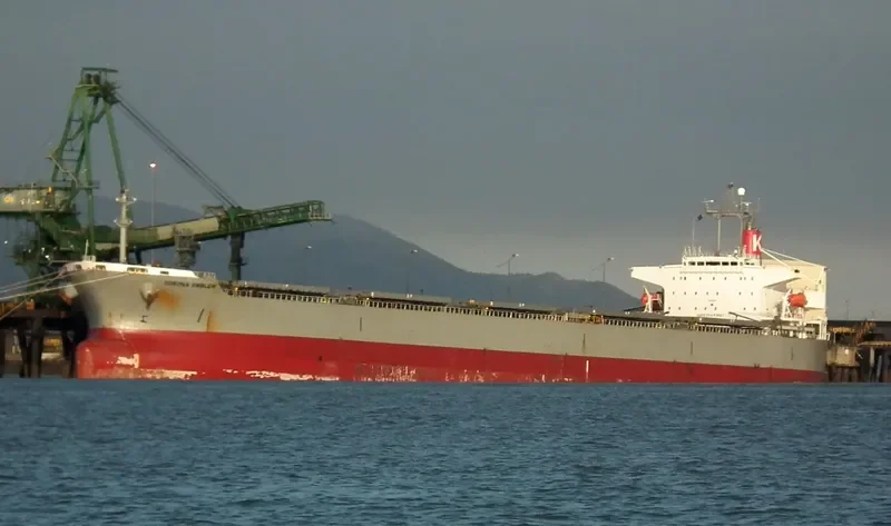 CORONA EMBLEM Bulk Carrier IMO 9152167 photo 6