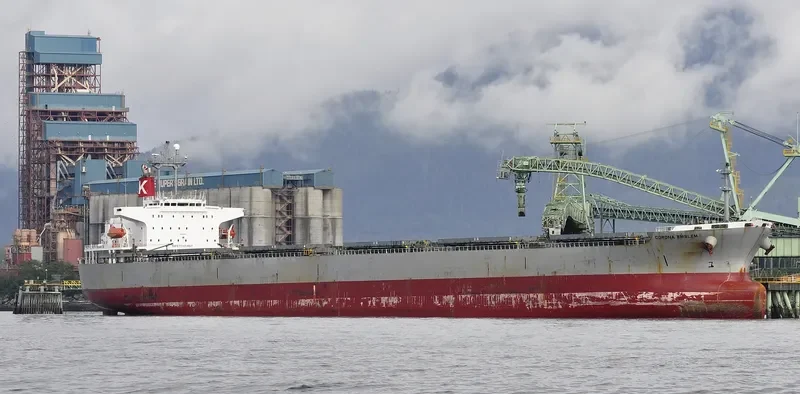 CORONA EMBLEM Bulk Carrier IMO 9152167 photo 7
