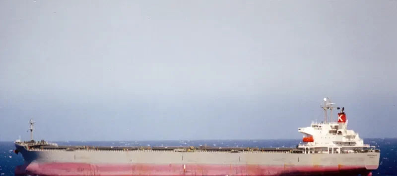CORONA EMBLEM Bulk Carrier IMO 9152167 photo 8