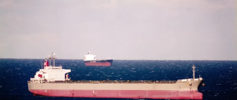 CORONA EMBLEM Bulk Carrier IMO 9152167 photo 9