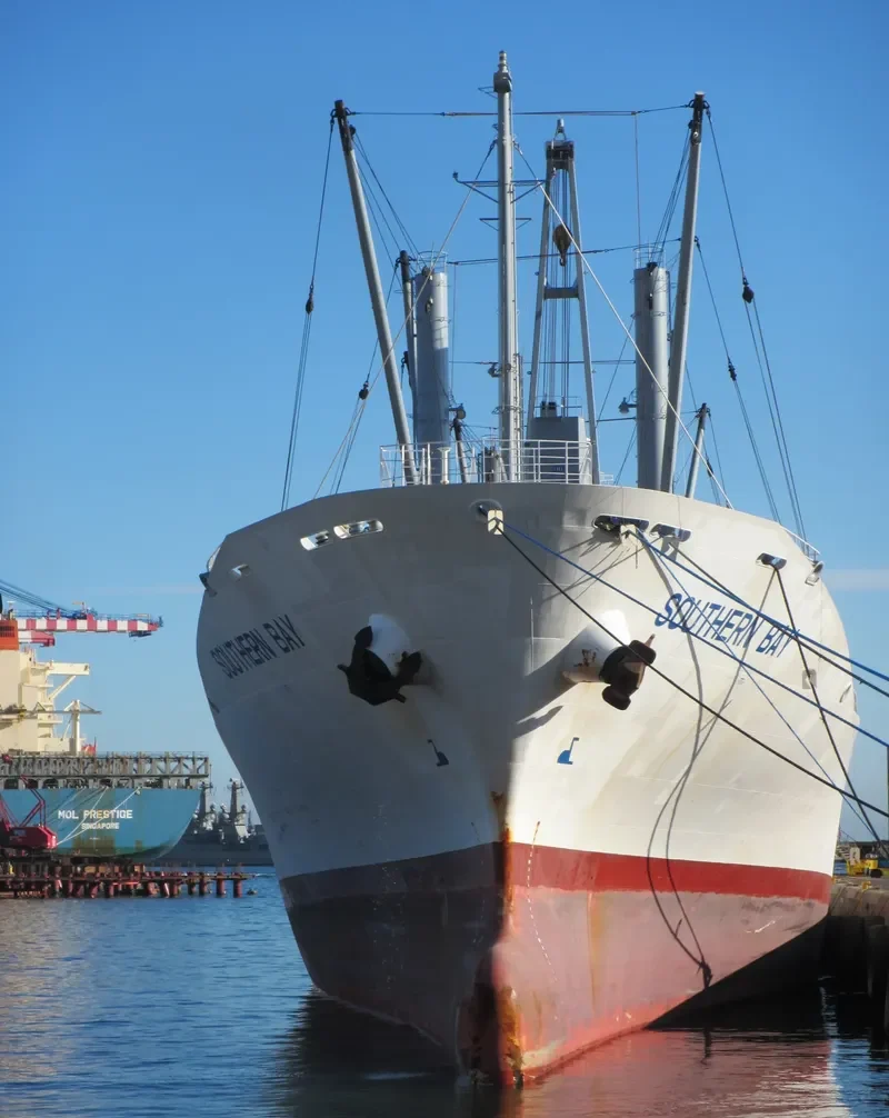 TAGANROGSKIY ZALIV General Cargo IMO 9152181 photo 8