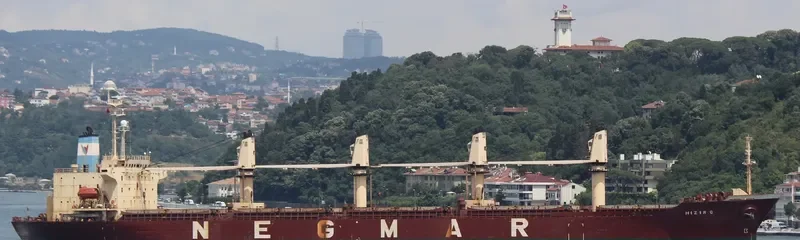 KIRA OCEAN Bulk Carrier IMO 9152246 photo 2
