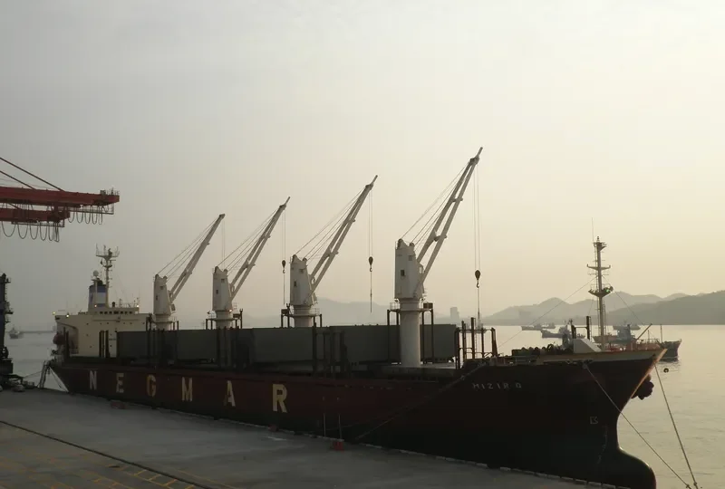 KIRA OCEAN Bulk Carrier IMO 9152246 photo 4