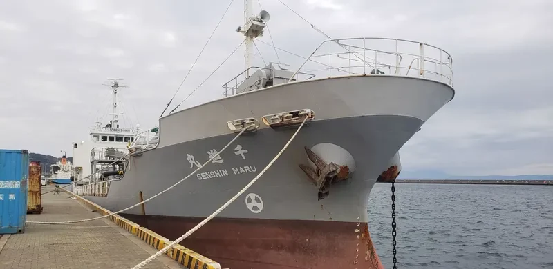 SENSHIN MARU General Cargo IMO 9152399 photo 3