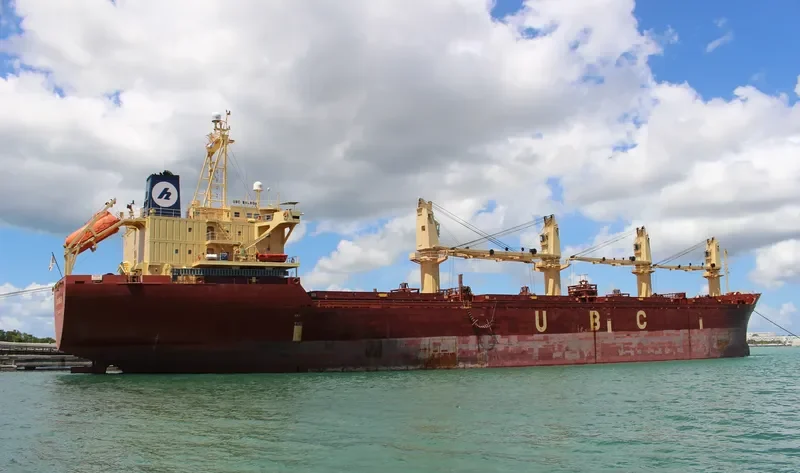 UBC BALBOA Bulk Carrier IMO 9152466 photo 4