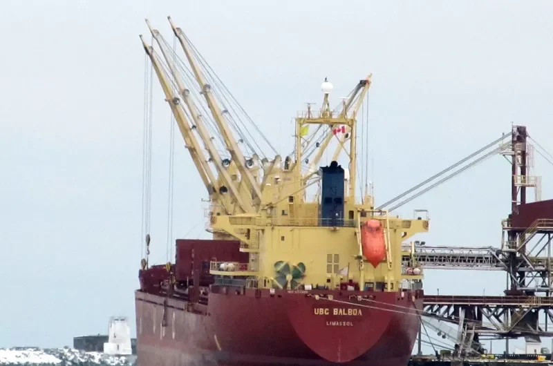 UBC BALBOA Bulk Carrier IMO 9152466 photo 5