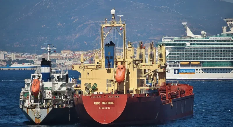 UBC BALBOA Bulk Carrier IMO 9152466 photo 7