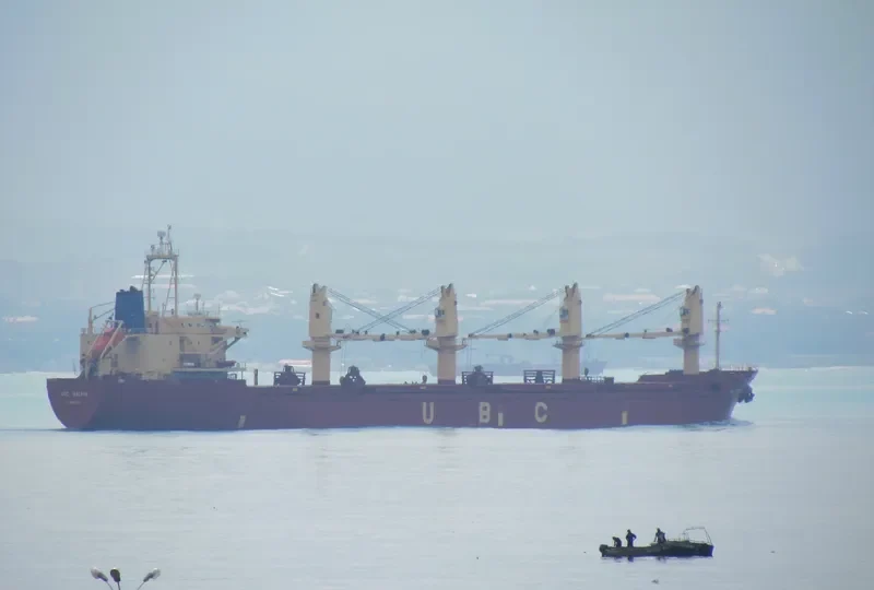 UBC BALBOA Bulk Carrier IMO 9152466 photo 9