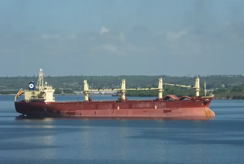 RAEDA Bulk Carrier IMO 9152478 photo 4