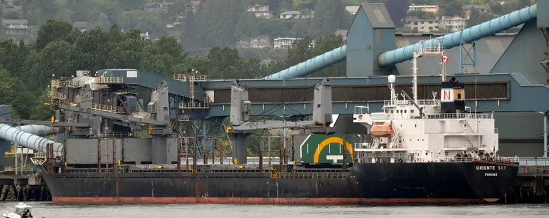 SHIMEI FORTUNE Bulk Carrier IMO 9152480 photo 2