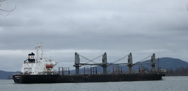 SHIMEI FORTUNE Bulk Carrier IMO 9152480 photo 3