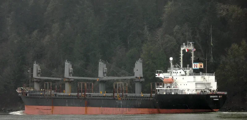 SHIMEI FORTUNE Bulk Carrier IMO 9152480 photo 4