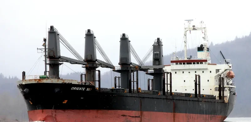SHIMEI FORTUNE Bulk Carrier IMO 9152480 photo 7