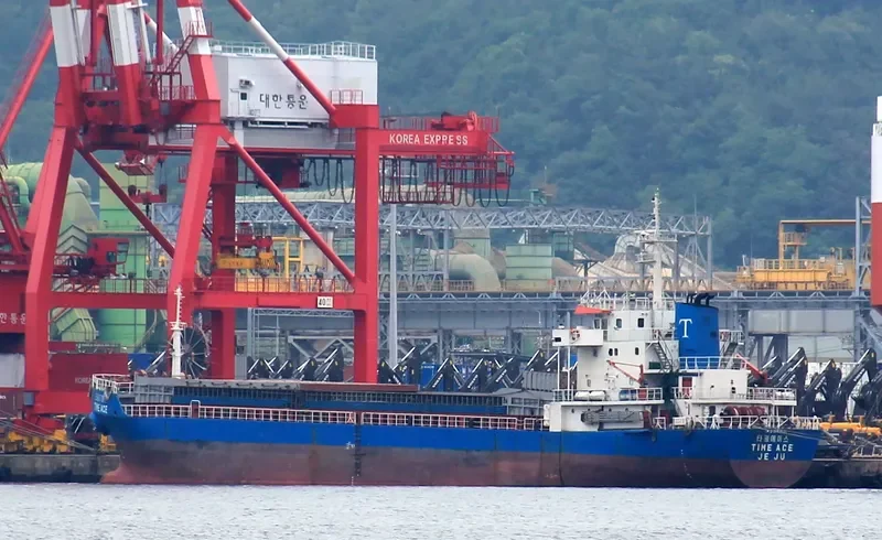 TEAM ACE General Cargo IMO 9152571 photo 8
