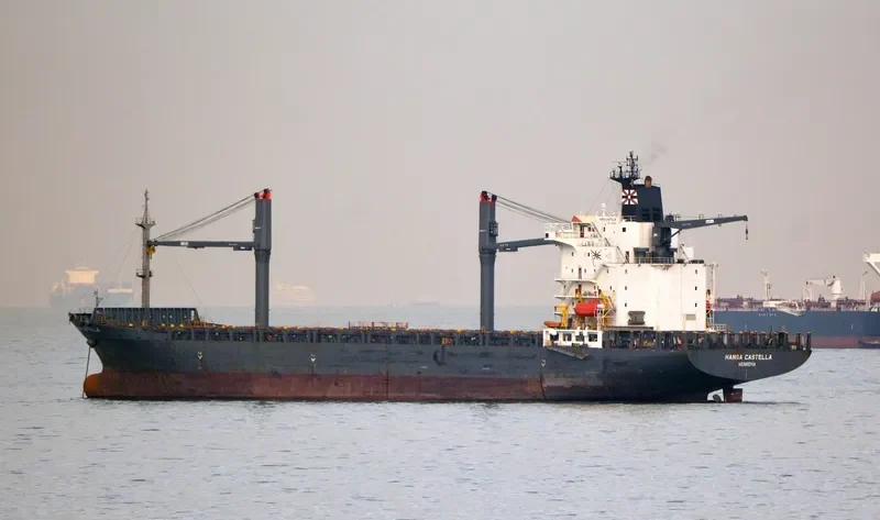HANSA CASTELLA Container Ship IMO 9152595 photo 2