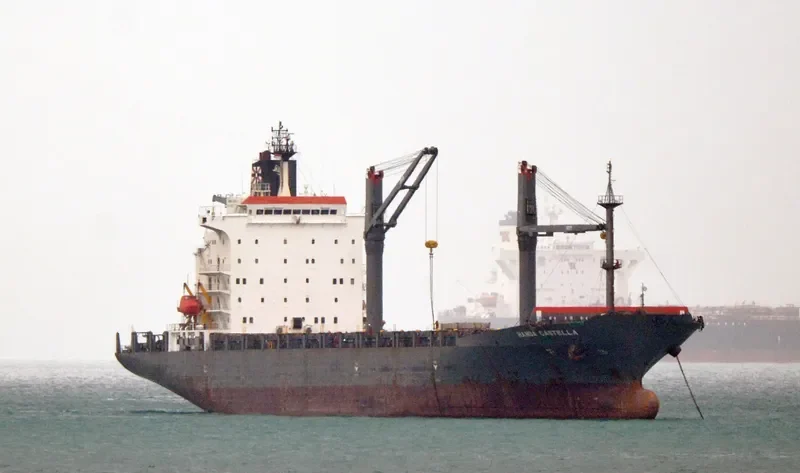 HANSA CASTELLA Container Ship IMO 9152595 photo 3