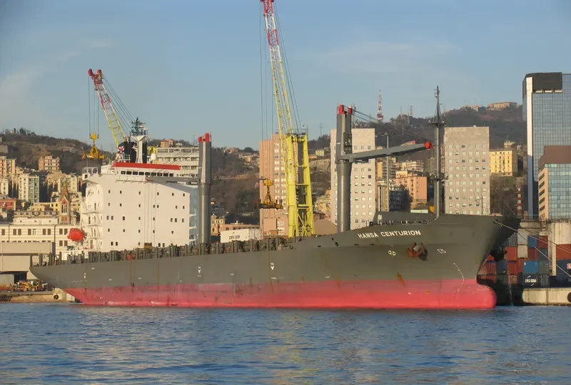 LILA HOCHIMINH Container Ship IMO 9152600 photo 8
