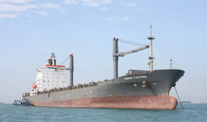 HANSA CALYPSO Container Ship IMO 9152612 photo 2