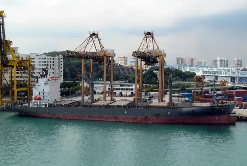 HANSA CALYPSO Container Ship IMO 9152612 photo 3