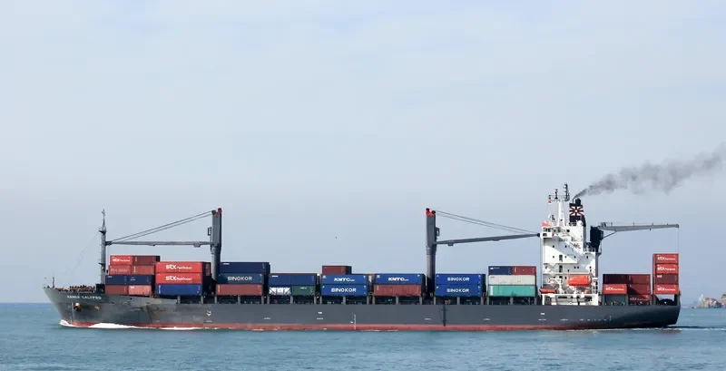 HANSA CALYPSO Container Ship IMO 9152612 photo 5