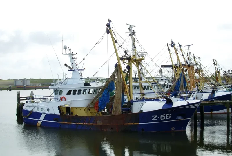 PIETER Z56 General Cargo IMO 9152674 photo 4