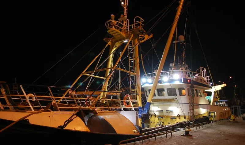 WILLIE JOE General Cargo IMO 9152686 photo 6