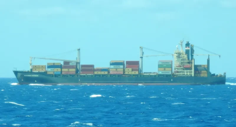 ALEXANDRA RICKMERS I Container Ship IMO 9152739 photo 8