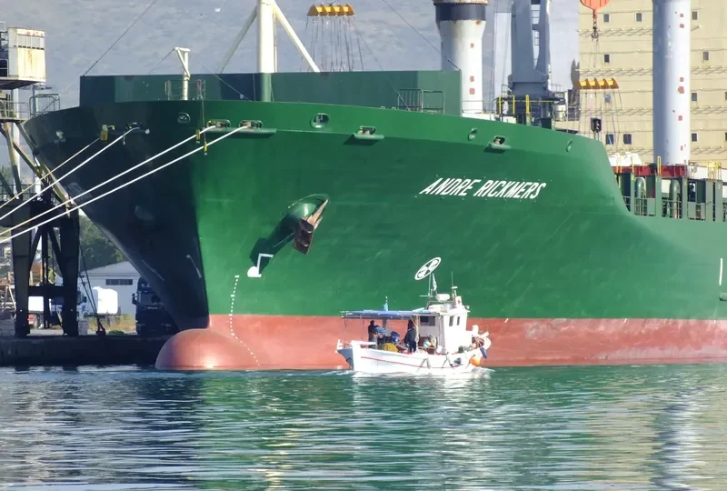 ANDRE RICKMERS Container Ship IMO 9152789 photo 4
