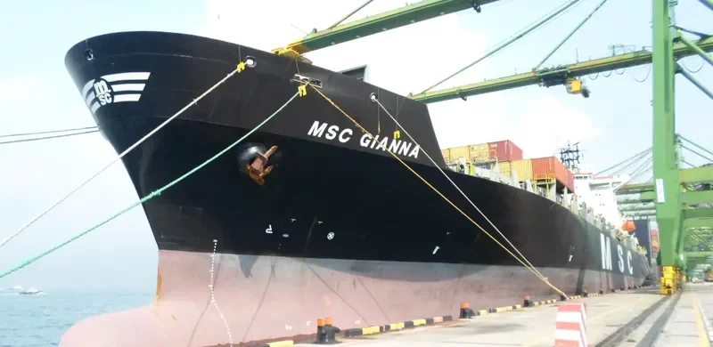 MSC GIANNA Container Ship IMO 9152856