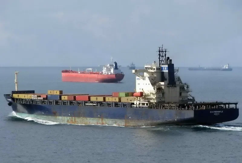 MSC GIANNA Container Ship IMO 9152856 photo 2