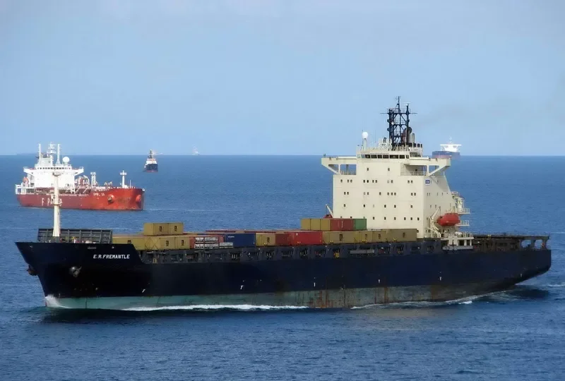 MSC GIANNA Container Ship IMO 9152856 photo 6