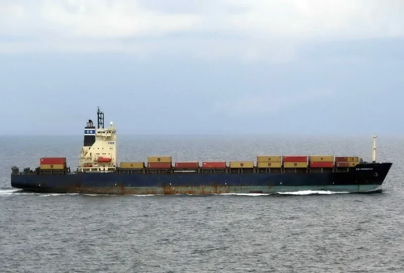MSC GIANNA Container Ship IMO 9152856 photo 9