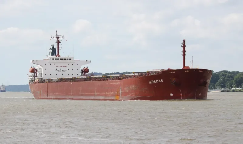 SEAEAGLE Bulk Carrier IMO 9153056 photo 5