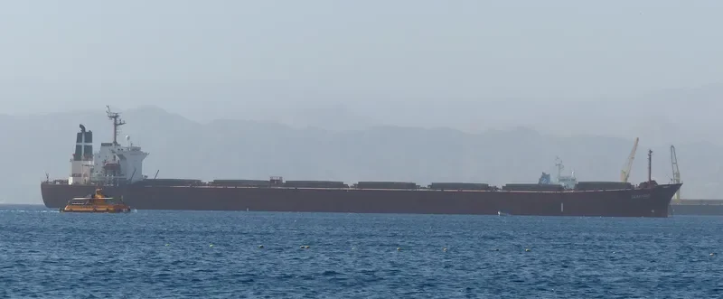 SEAEAGLE Bulk Carrier IMO 9153056 photo 6