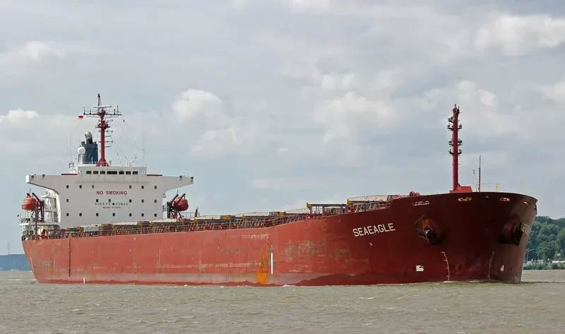SEAEAGLE Bulk Carrier IMO 9153056 photo 10