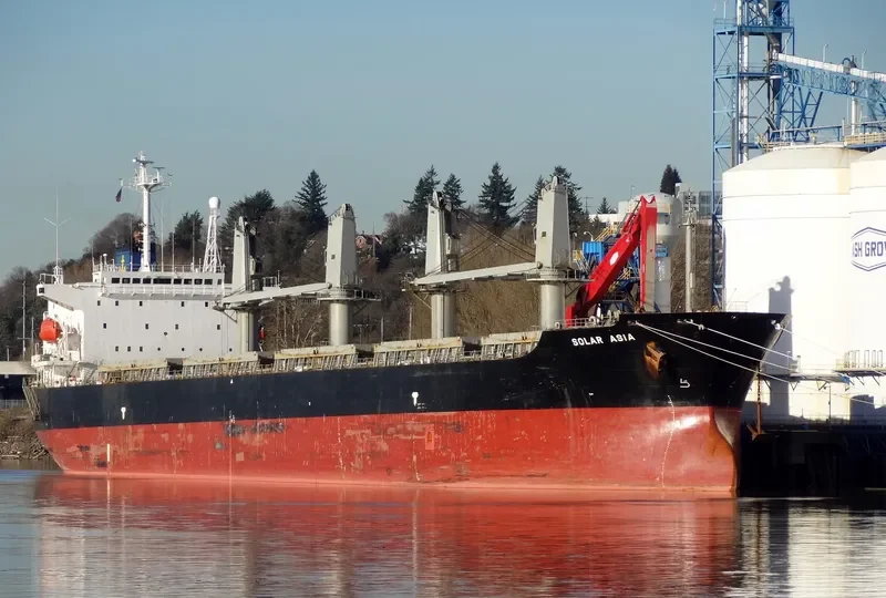 BLUEWAYS Bulk Carrier IMO 9153111