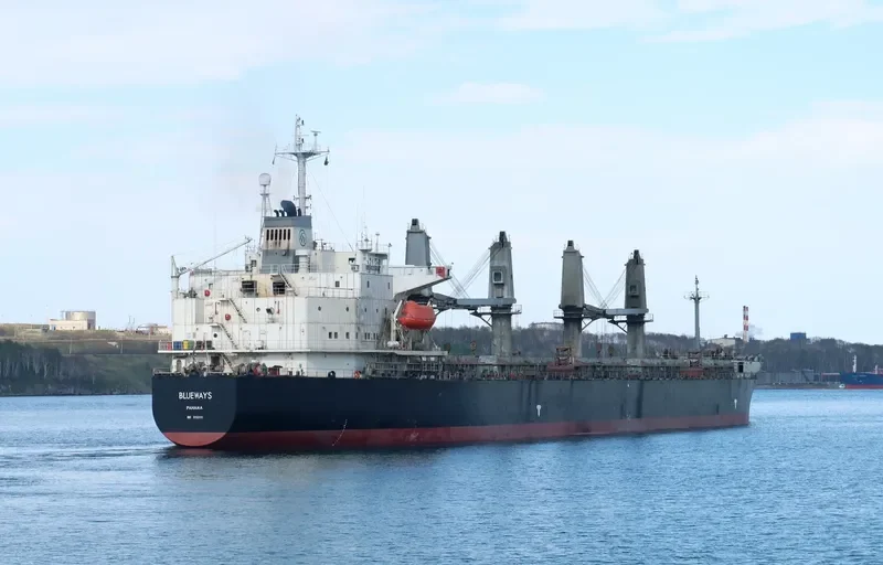 BLUEWAYS Bulk Carrier IMO 9153111 photo 6