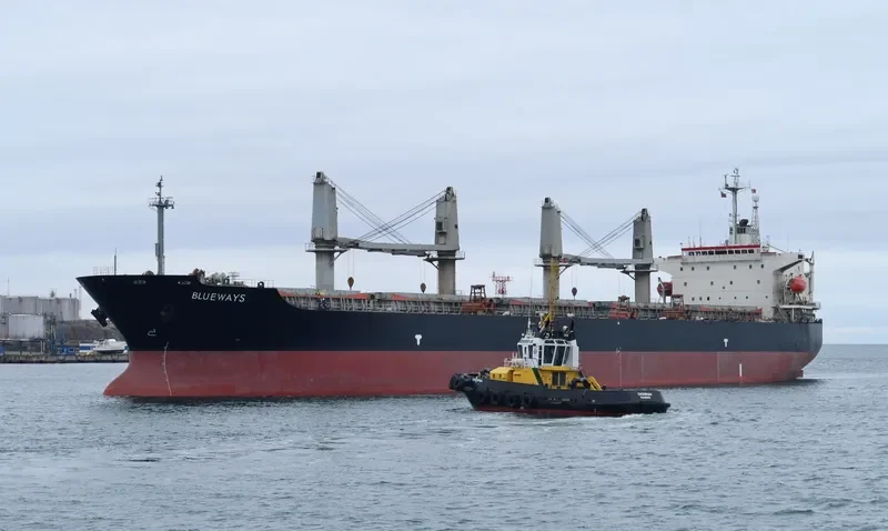 BLUEWAYS Bulk Carrier IMO 9153111 photo 8