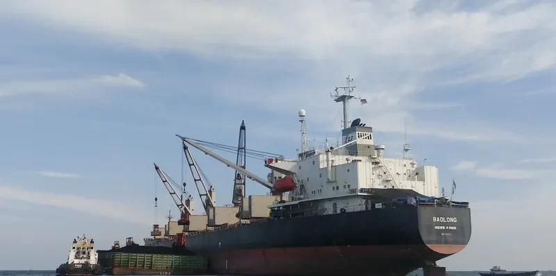 BLUEWAYS Bulk Carrier IMO 9153111 photo 10