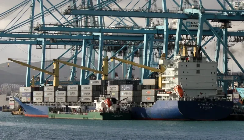ELA S Container Ship IMO 9153381