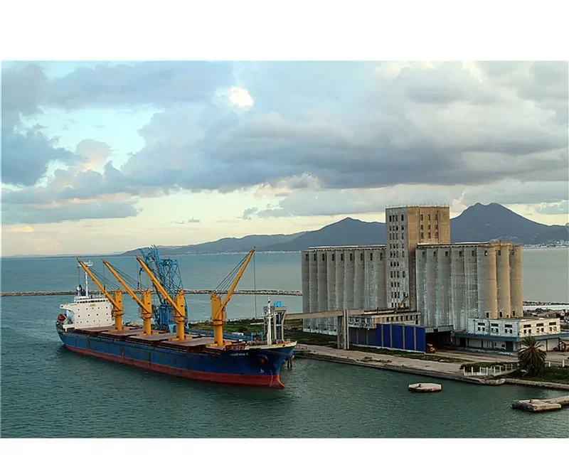MARIA L Bulk Carrier IMO 9153496 photo 4