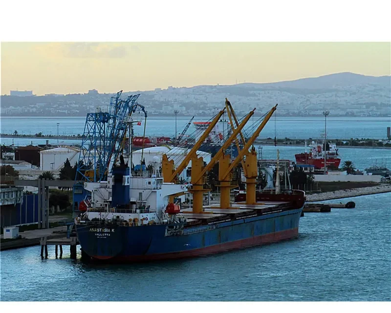 MARIA L Bulk Carrier IMO 9153496 photo 6