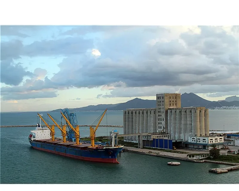 MARIA L Bulk Carrier IMO 9153496 photo 8