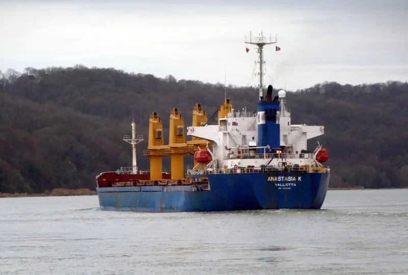 MARIA L Bulk Carrier IMO 9153496 photo 10