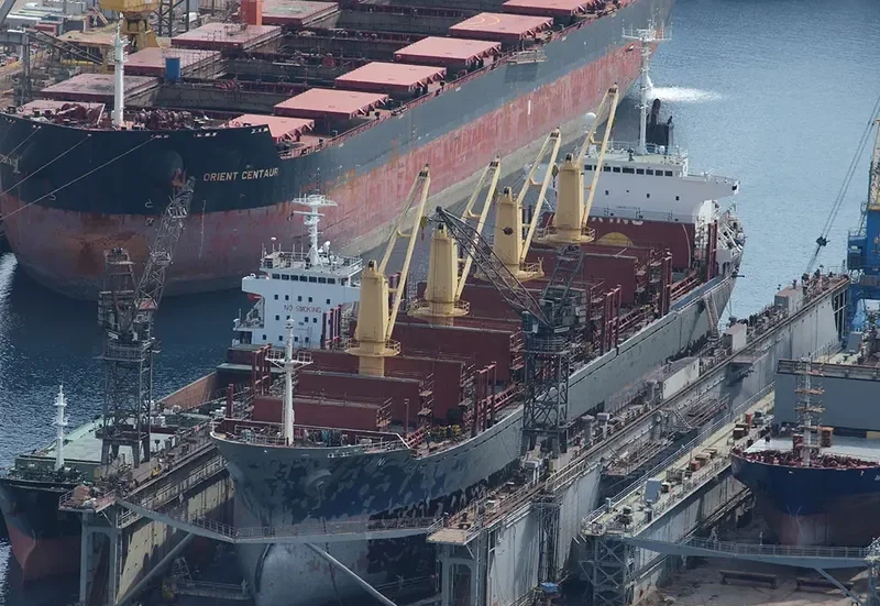 SEA HONOR Bulk Carrier IMO 9153501 photo 6