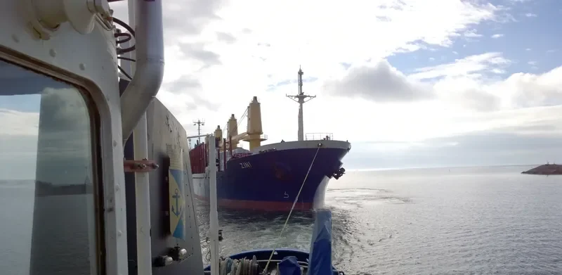 SEA HONOR Bulk Carrier IMO 9153501 photo 8