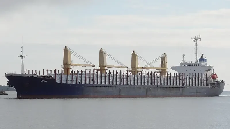 SEA HONOR Bulk Carrier IMO 9153501 photo 9