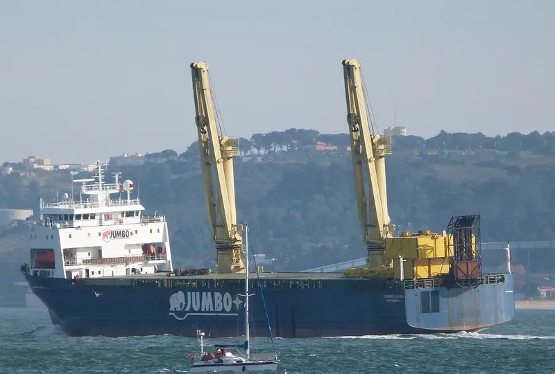 JUMBO VISION General Cargo IMO 9153642 photo 9