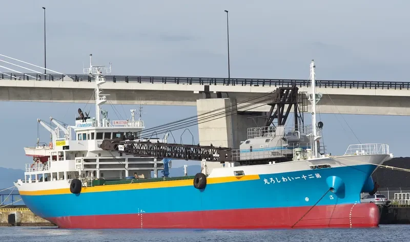 IWASHIRO MARU NO.21 General Cargo IMO 9153927
